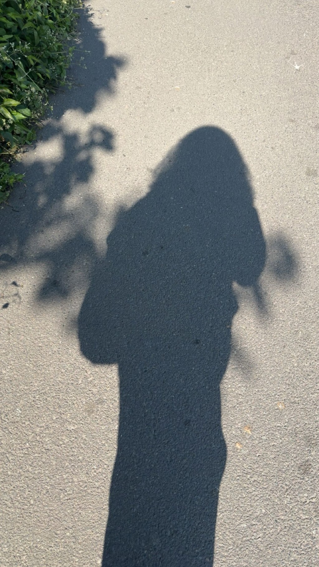 Here we go again (To the girl finding her way&nbsp;home)