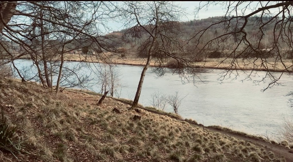 When Pain Becomes&nbsp;Happiness